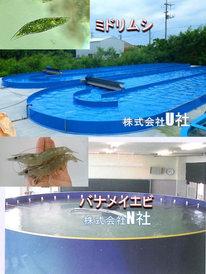 陸上養殖｜株式会社アクアテックジャパン